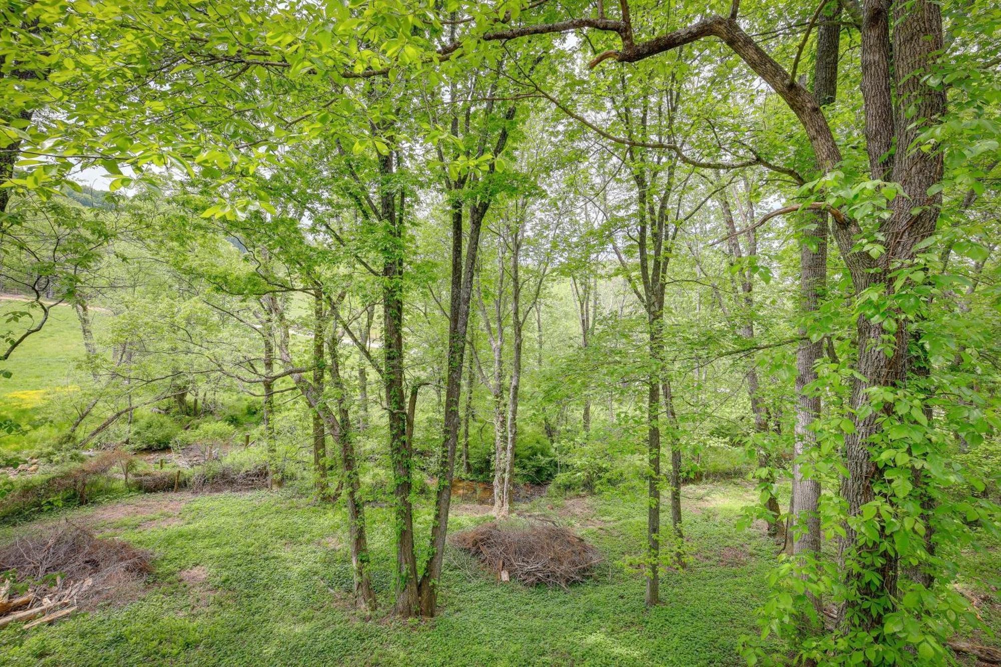 Quaint Blue Ridge Cabin Rental With On-Site Stream! Sparta Екстериор снимка